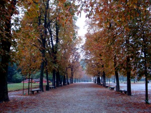 It's autumn in Milan.